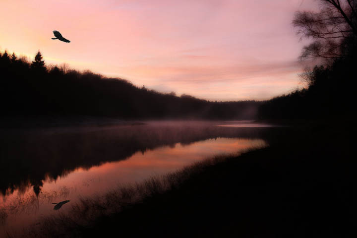 neuer Hintergrund, bearbeitet